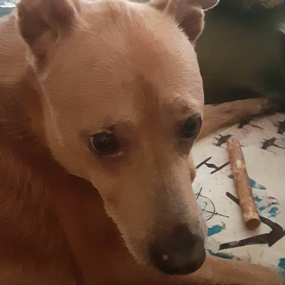 Meet your Posher, Natasha - Picture 11 of 14